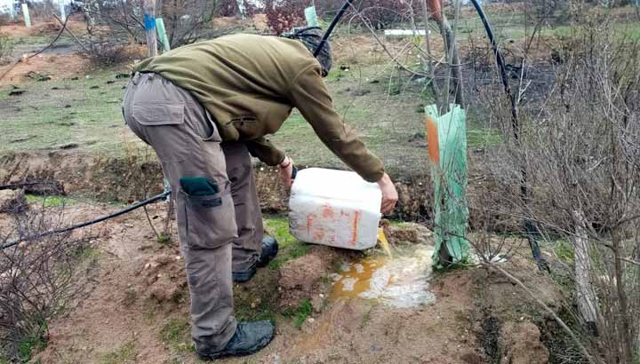 Aplican microorganismos endémicos para restaurar el suelo siniestrado del Jardín Botánico de Viña del Mar.