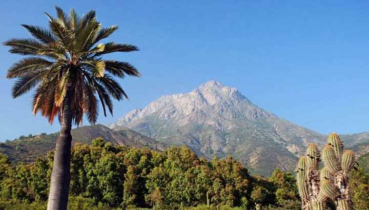 Sin acceso a la cumbre: CONAF abrirá el Parque Nacional La Campana en Fiestas Patrias.