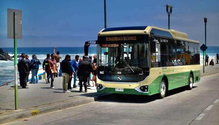 Buses eléctricos tendrán recorrido hacia playa Las Torpederas