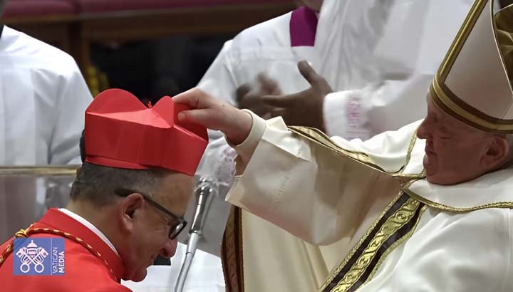 Fernando Chomali Garib, el 9.º cardenal chileno de la historia