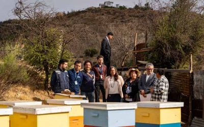 Hacienda e INDAP entregan colmenas a pequeños agricultores de la Región de Valparaíso afectados por incendios