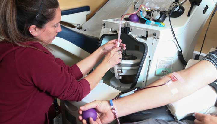 Centro de Sangre Valparaíso invita a donar sangre este verano