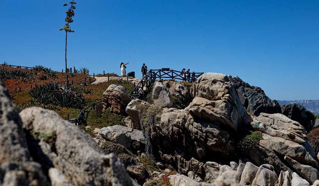 Concón aprobó cuidados a la Roca Oceánica y humedal urbano